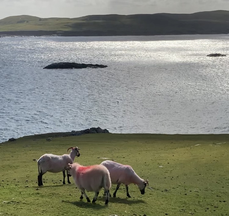 Soirée spéciale pour la chorale.
