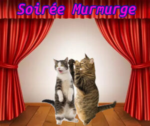 Soirée Murmurge